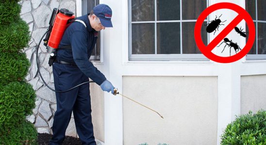 Polatlı Kemirgen İlaçlama böcek ilaçlama ve haşere kontrolü — ilaclama-tr.com